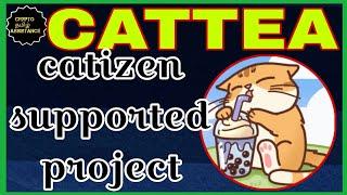 CATTEA - new airdrop supported by Catizen & Ogc listing update @cryptotamilassistance #ogcmining