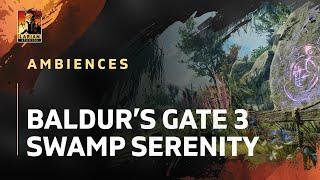 Baldur's Gate 3 Ambiences - Swamp Serenity