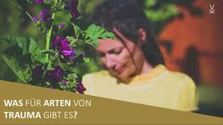 Was für Arten von Trauma gibt es? // Podcast #50