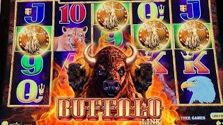 $200 SPIN LANDS 4 COINS BONUS ON BUFFALO LINK