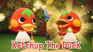 Ketchup The Duck Peppy Villager Animal Crossing New Horizons ACNH