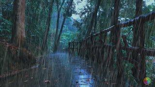 【白噪音】樹林美麗的雨聲和雷聲，極度舒適雨聲，睡眠，放鬆，治療，專注，學習，正念，助眠，入睡，減壓，asmr，rain sounds for sleeping