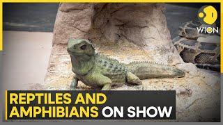 London Zoo exhibit reptiles and amphibians | Latest English News | WION