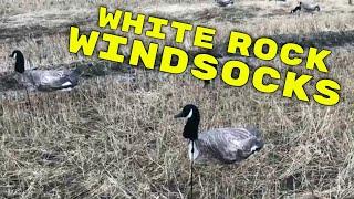 White Rock Canada Goose Windsock Decoys:  Full Review