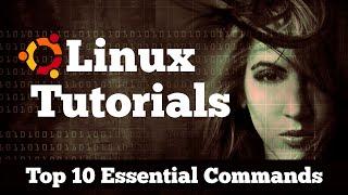 Top 10 Essential Terminal Commands for Ubuntu Linux Beginners