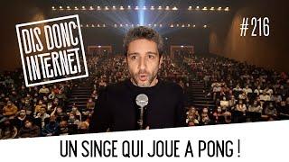 Une puce dans ton cerveau et un singe qui joue à Pong. // VERINO - Dis Donc Internet #216