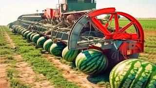 Farmers Use Farming Machines You've Never Seen - Incredible Modern Agriculture Inventions