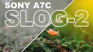 Sony A7C Best Slog-2 Settings | Sample footage