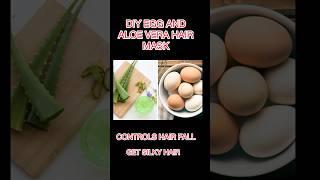 Egg and aloe Vera hair mask #viral #youtubeshorts #haircaretips #diy #shortsindia #viralshorts