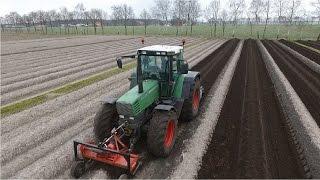 Asperge boerderij Hoorn - asperge ruggen frezen