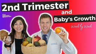 Baby's Second Trimester Growth & The Anatomy Scan