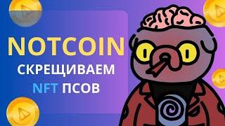 Notcoin. Задание Lost Dogs. Как мы получили много собак по 0.11 TON?