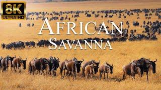 Afrikanische Savanne 8K ULTRA HD | Wilde Tiere der afrikanischen Safari | Entspannungsfilm