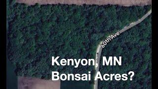 Kenyon, MN - Bonsai Acres?  Dave's Bonsai E426