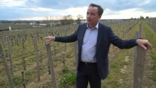 Bordeaux 2015: Winemaker Jean-Philippe Delmas Comments on La Mission Haut-Brion