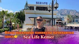  Мы подготовили для вас полный видео обзор отеля Sea Life Kemer в Турции! 