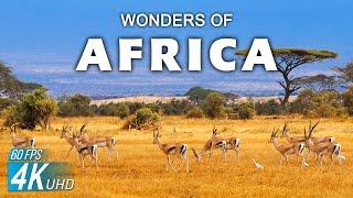 Wonders of Africa | The Most Amazing Places in Africa | Travel Video 4K