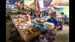 Fun in Downtown Oaxaca at night - 360 Degree - 5k - VR Experience