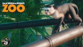 Building a Capuchin Adventure in Franchise Mode! | San Bernardino Zoo | Planet Zoo