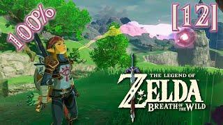 [12] Загадки Деревни Хатено [100% The Legend of Zelda Breath of the Wild]