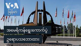 အမေရိကန်ရွေးကောက်ပွဲ ဥရောပသဘောထား