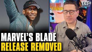 Blade Movie Removed From Release Schedule