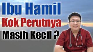 HAMIL KOK PERUTNYA KECIL - TANYAKAN DOKTER