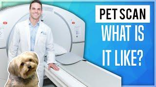 PET Scan: What Is It Like? (2020)