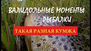 Кумжа Кольского полуострова | Валидольные моменты на рыбалке | Salmon trout