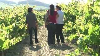 Pel Penedès: Enoturisme al Penedès