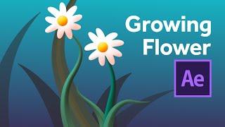 Growing flower animation & creation in After Effects - using tapered shape strokes