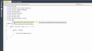 How to use Ziktech DataMatrix Barcode Font Solution in Visual Studio