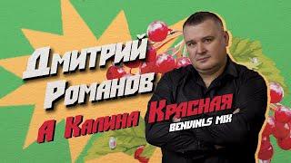 Дмитрий Романов - А калина красная (Benvinls mix) // Dmitriy Romanov - And red viburnum