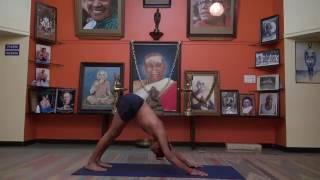 Sharath Jois: how Jump back from Utkatasana and Virabhadrasana II