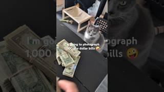 I'm Going to Photograph 1,000 One Dollar Bills  #money #art