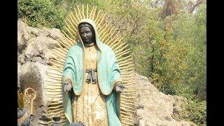 Dr. Rodrigo Martínez Baracs: La Virgen de Guadalupe. Documentos y relatos históricos