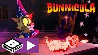 Bunnicula | Bunnicula's Magical Ritual | Boomerang UK 