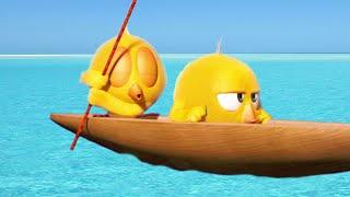 Where's Chicky ?  LOST AT SEA - NEW episodes in HD