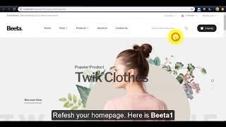 How to install Beeta Responsive Opencart theme