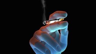 Smoking Causes Cancer, Heart Disease, Emphysema