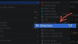 how add directory instead a package in lib folder | Flutter Tips