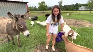 Barefoot farmer has us doing the feed routine BAREFOOT!