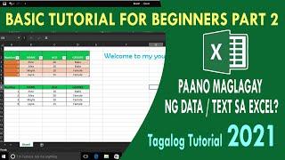 How to insert data/text in Microsoft Excel # tagalog tutorial 2021 part 2
