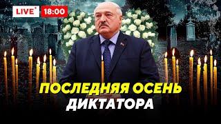 Финальные выборы Лукашенко / Ватикан ублажает диктатора / В школу с новой идеологией