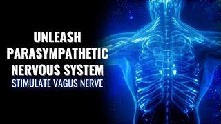 Unleash Parasympathetic Nervous System- Stimulate Vagus Nerve- Improve Order of Blood Flow in Heart