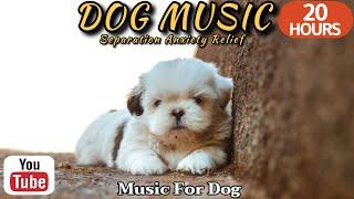 20 HOURS of Dog Calming Music For DogsDog Sleep MusicAnti Separation Anxiety ReliefHealingmate