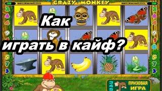 Казино Вулкан - КАК играть ПРАВИЛЬНО! Выигрыш 500 000 в Crazy Monkey (Обезьянки) в онлайн казино!