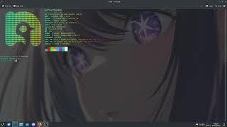 how linux users watch anime (reupload)