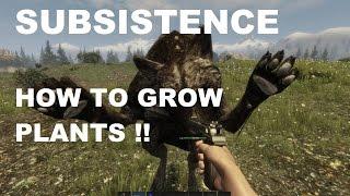 Subsistence how to grow plants