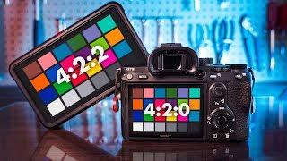 Is 4:2:2 Worth It? - Sony a7 III & Atomos 4:2:0 vs 4:2:2 Comparison